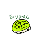 かめさんボーっと過ごす（個別スタンプ：20）