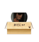 ミル♥️コタファミリー(=^ェ^=)（個別スタンプ：6）