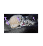 ミル♡コタファミリー(=^ェ^=)（個別スタンプ：8）