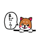 柴犬ちゃん(黒✖︎茶)（個別スタンプ：10）