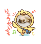 ねこの普通生活（個別スタンプ：8）