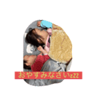 No．24（個別スタンプ：3）