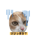MIUの休日（個別スタンプ：1）