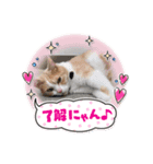 MIUの休日（個別スタンプ：3）