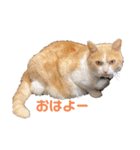 MIUの休日（個別スタンプ：5）