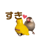 うちのもちおさん（個別スタンプ：8）