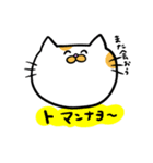 ハングル白茶ねこ（個別スタンプ：5）