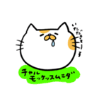 ハングル白茶ねこ（個別スタンプ：6）