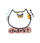 ハングル白茶ねこ（個別スタンプ：7）