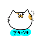 ハングル白茶ねこ（個別スタンプ：14）