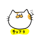 ハングル白茶ねこ（個別スタンプ：17）