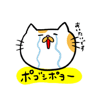 ハングル白茶ねこ（個別スタンプ：23）