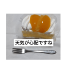 シースケーキちゃん（個別スタンプ：5）