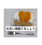 シースケーキちゃん（個別スタンプ：7）
