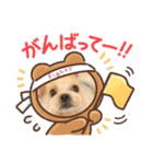 ヨーキーとトイプーⅡ（個別スタンプ：5）