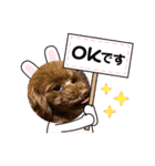 ヨーキーとトイプーⅡ（個別スタンプ：9）