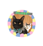 ジュリ＆ココ NO.1（個別スタンプ：3）