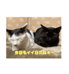 ジュリ＆ココ NO.1（個別スタンプ：6）