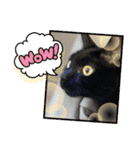 ジュリ＆ココ NO.1（個別スタンプ：9）