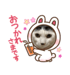 ジュリ＆ココ NO.1（個別スタンプ：10）