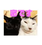 ジュリ＆ココ NO.1（個別スタンプ：12）