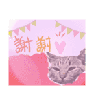 ねこの” るっちゃん”（個別スタンプ：5）