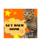 ねこの” るっちゃん”（個別スタンプ：6）
