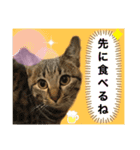 ねこの” るっちゃん”（個別スタンプ：7）