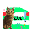 ねこの” るっちゃん”（個別スタンプ：9）