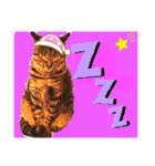 ねこの” るっちゃん”（個別スタンプ：11）