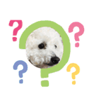 自己満愛犬（個別スタンプ：5）