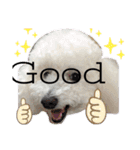 自己満愛犬（個別スタンプ：7）