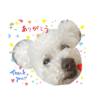 自己満愛犬（個別スタンプ：8）