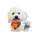 自己満愛犬（個別スタンプ：9）