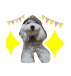 自己満愛犬（個別スタンプ：10）
