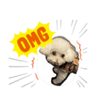 自己満愛犬（個別スタンプ：11）