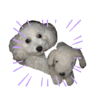 自己満愛犬（個別スタンプ：13）