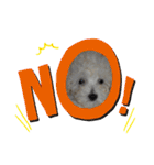 自己満愛犬（個別スタンプ：19）