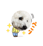 自己満愛犬（個別スタンプ：20）
