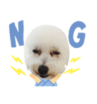 自己満愛犬（個別スタンプ：21）