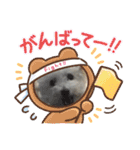 自己満愛犬（個別スタンプ：22）