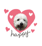 自己満愛犬（個別スタンプ：23）