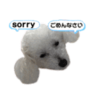 自己満愛犬（個別スタンプ：24）