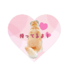 りんちゃん003（個別スタンプ：5）