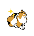 猫のドット絵スタンプ（個別スタンプ：1）