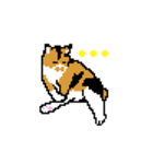 猫のドット絵スタンプ（個別スタンプ：7）