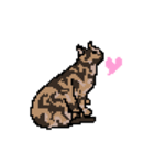 猫のドット絵スタンプ（個別スタンプ：11）