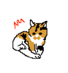 猫のドット絵スタンプ（個別スタンプ：13）