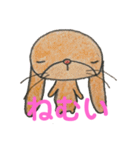 むすうさぎ（個別スタンプ：20）