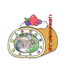 うさぎのビビ☆日常会話スタンプ4（個別スタンプ：20）